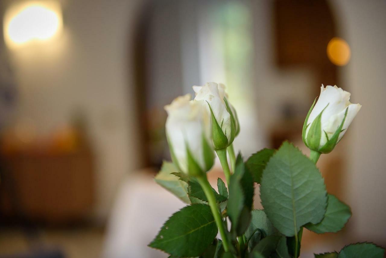 Bed And Breakfast Sweet Home ティラーノ エクステリア 写真